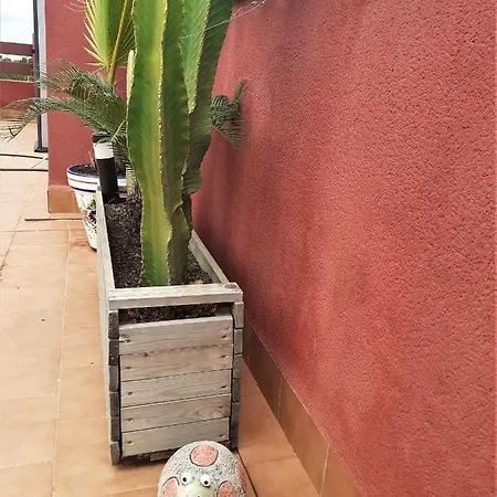 Casa Ohana Solarium, Jacuzzi,piscine,tout Confort Lejlighed