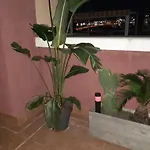 Appartement Casa Ohana Solarium, Jacuzzi,piscine,tout Confort *